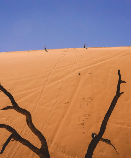 Terapia Desarrollo de Habilidades para Empresas