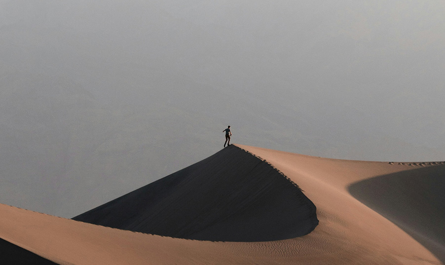 Terapia de Liderazgo para Empresas